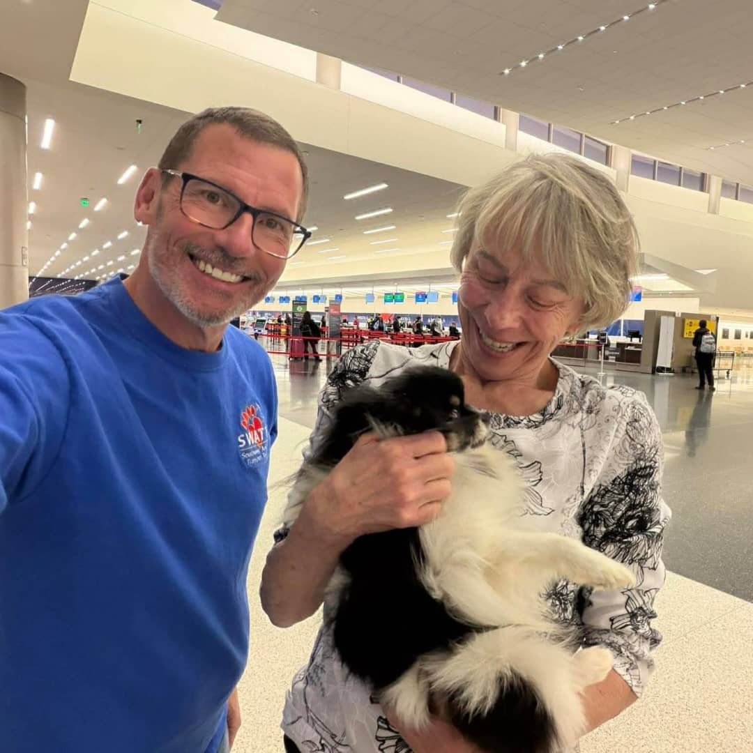 7e5ffca2-9e6f-4312-a933-8e9b8f119c81