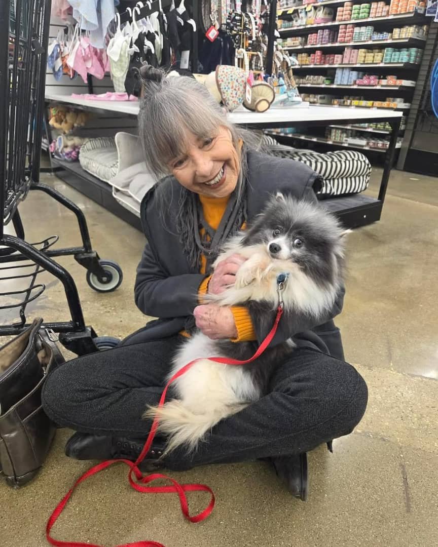 963e512d-e6c8-4e77-a987-f3115067733e