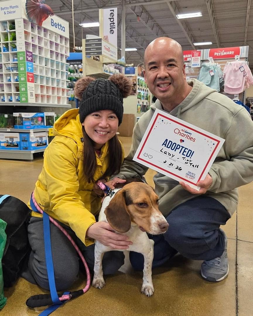 fc6fc4d5-e3bd-4eee-a94d-155970bb551d